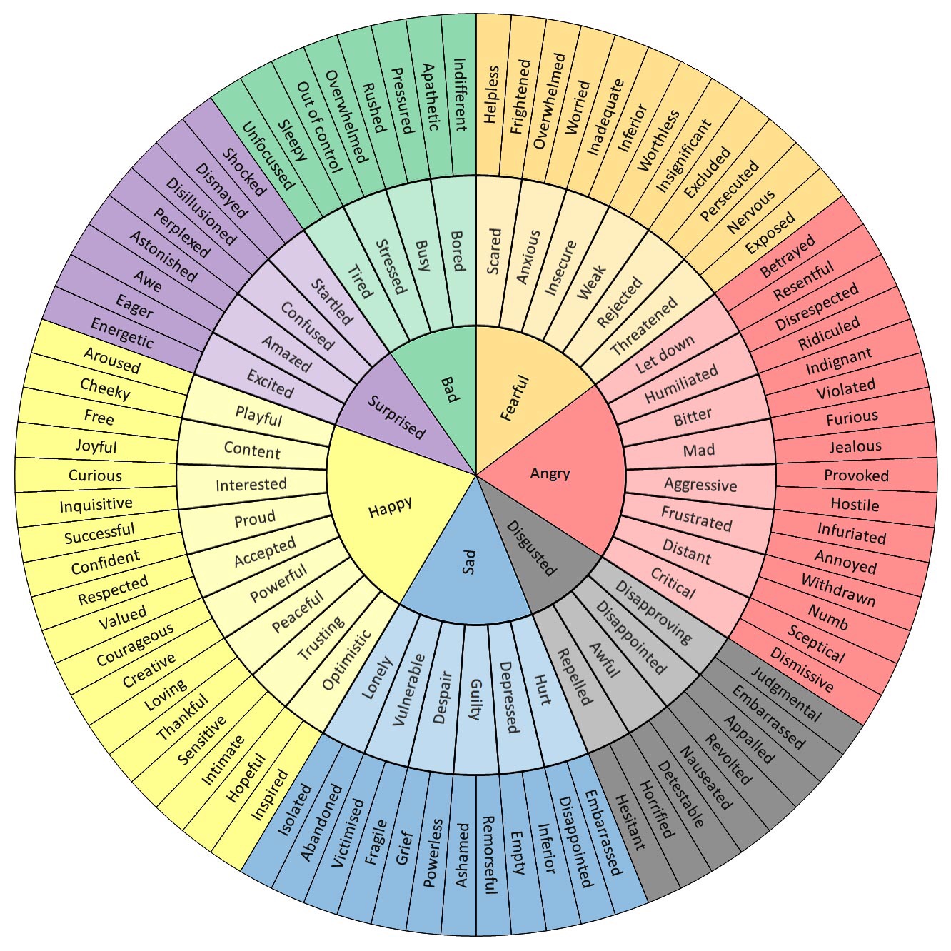 It is a coloured wheel that allows us to better describe our feelings. For example, in the centre there is the word Happy, in the next level Happy might be represented by Proud, Content, Optimistic, etc and in the outer layer Proud might be represented by Successful and Confident (and so on for all the other words).